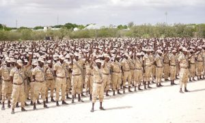 The unexpected success of Somalia’s new fight against Al Shabaab