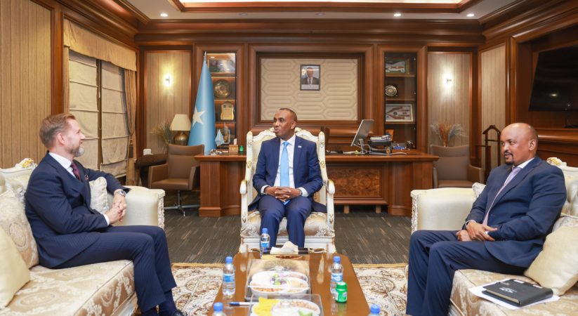 Renewed Sweden-Somalia Partnership Pledges Commitment to Strategic Investments for Peace and Prosperity