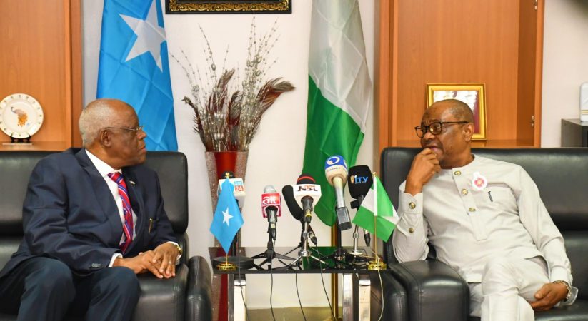 Somalia seeks Wike, FCTA’s support to build Mogadishu