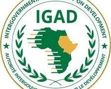 Somalia Faults IGAD Executive’s Statement, Demands Apology