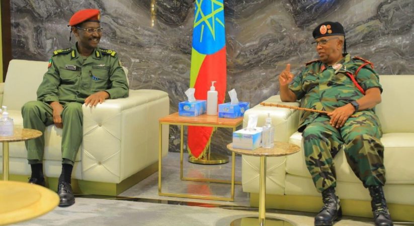 Ethiopia, Somaliland Army Chiefs discuss military cooperation