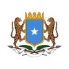 Somalia rejects AU mediation over Ethiopia-Somaliland deal