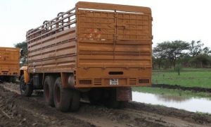Two Somali truck drivers killed in Ruweng road ambush