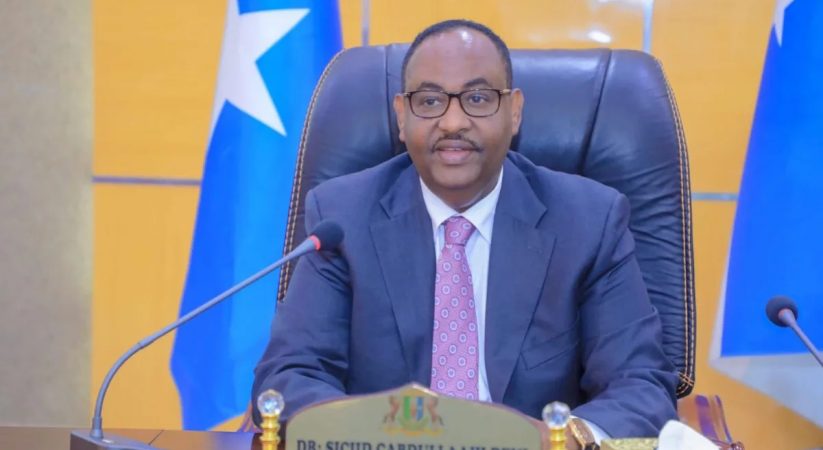 Puntland raises concerns over Somali federal constitution changes