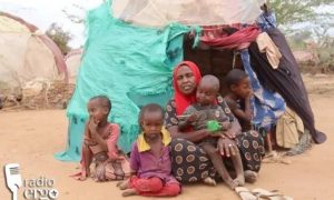 Families fleeing conflict in Mudug have nothing to support themselves