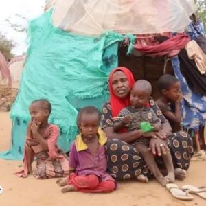 Families fleeing conflict in Mudug have nothing to support themselves