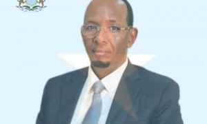 Cabinet Appoints Abdullahi Mohamed Ali as Head of NISA