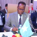 Somali Agriculture Minister Attends Key Conference in Morocco