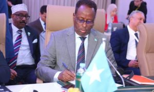 Somali Agriculture Minister Attends Key Conference in Morocco